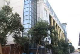 фабричко шоу